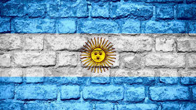 דגל ארגנטינה על קיר לבנים כיסוי דלת מוסך