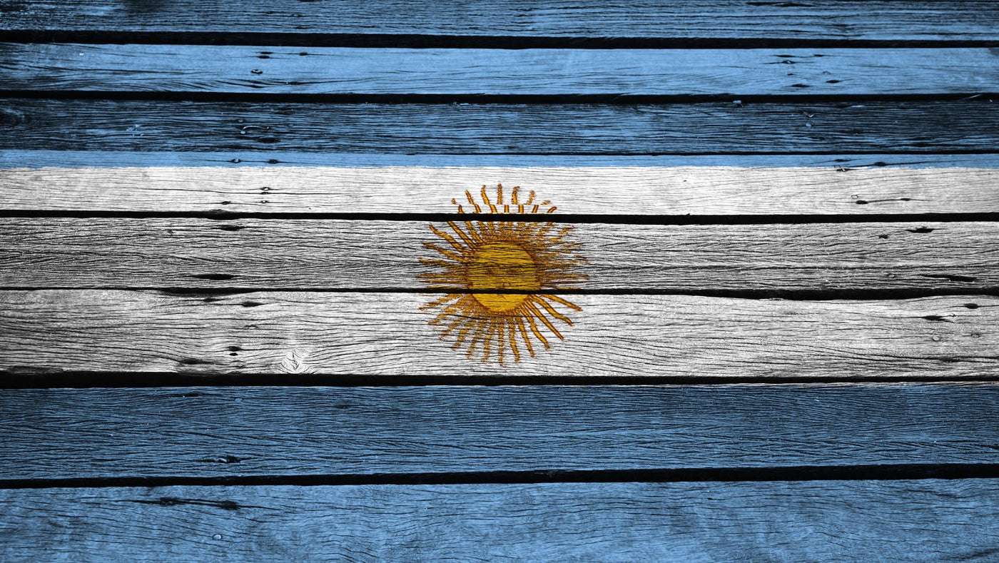 דגל ארגנטינה על כיסוי דלת מוסך מעץ