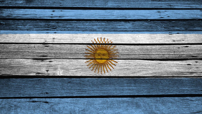 דגל ארגנטינה על כיסוי דלת מוסך מעץ