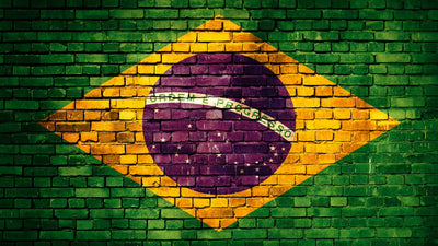 דגל ברזיל על קיר לבנים כיסוי דלת מוסך
