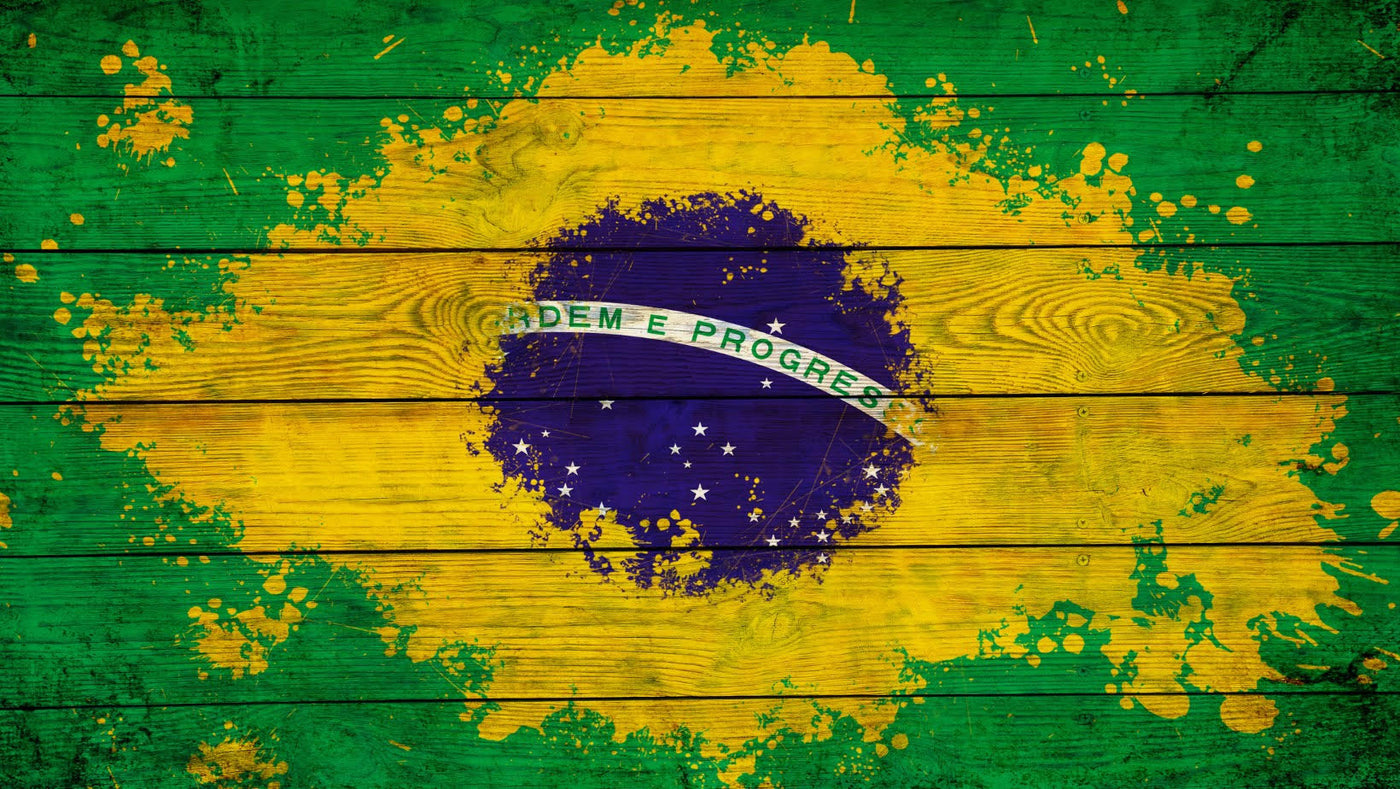 דגל ברזיל על כיסוי דלת מוסך מעץ