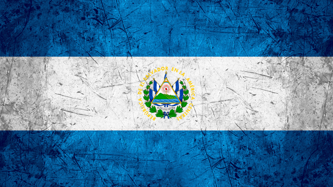 כיסוי דלת מוסך דגל אל סלבדור