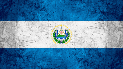 כיסוי דלת מוסך דגל אל סלבדור