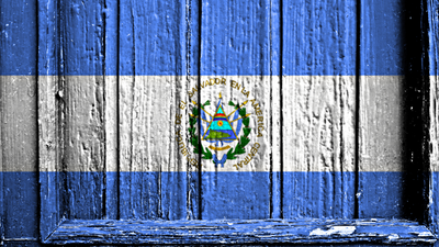 El Salvador Flag On Wooden Door Garage Door Cover