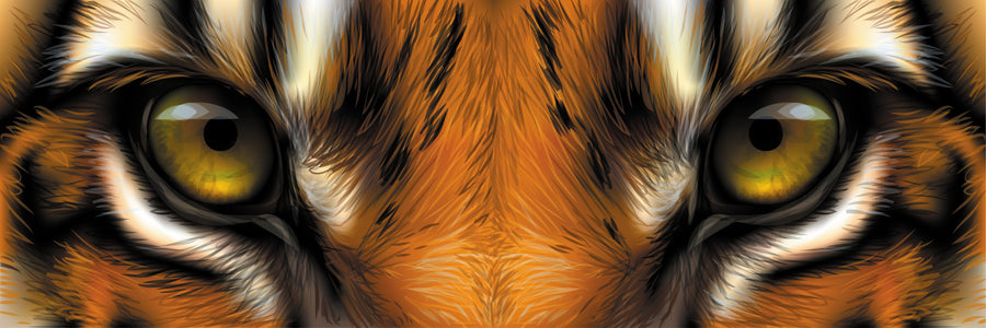 Eyes Of A Red Tiger Close Up Garage Door Cover Banner Backdrop