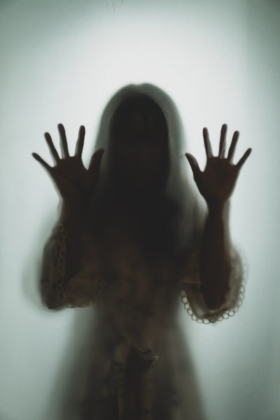 Ghost Shadow Of A Women Behind The Matte Door Cover דלת קדמית ציור קיר
