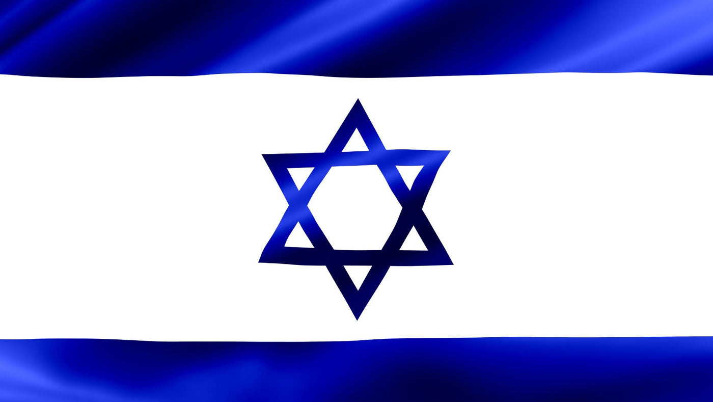 כיסוי דלת מוסך דגל ישראל