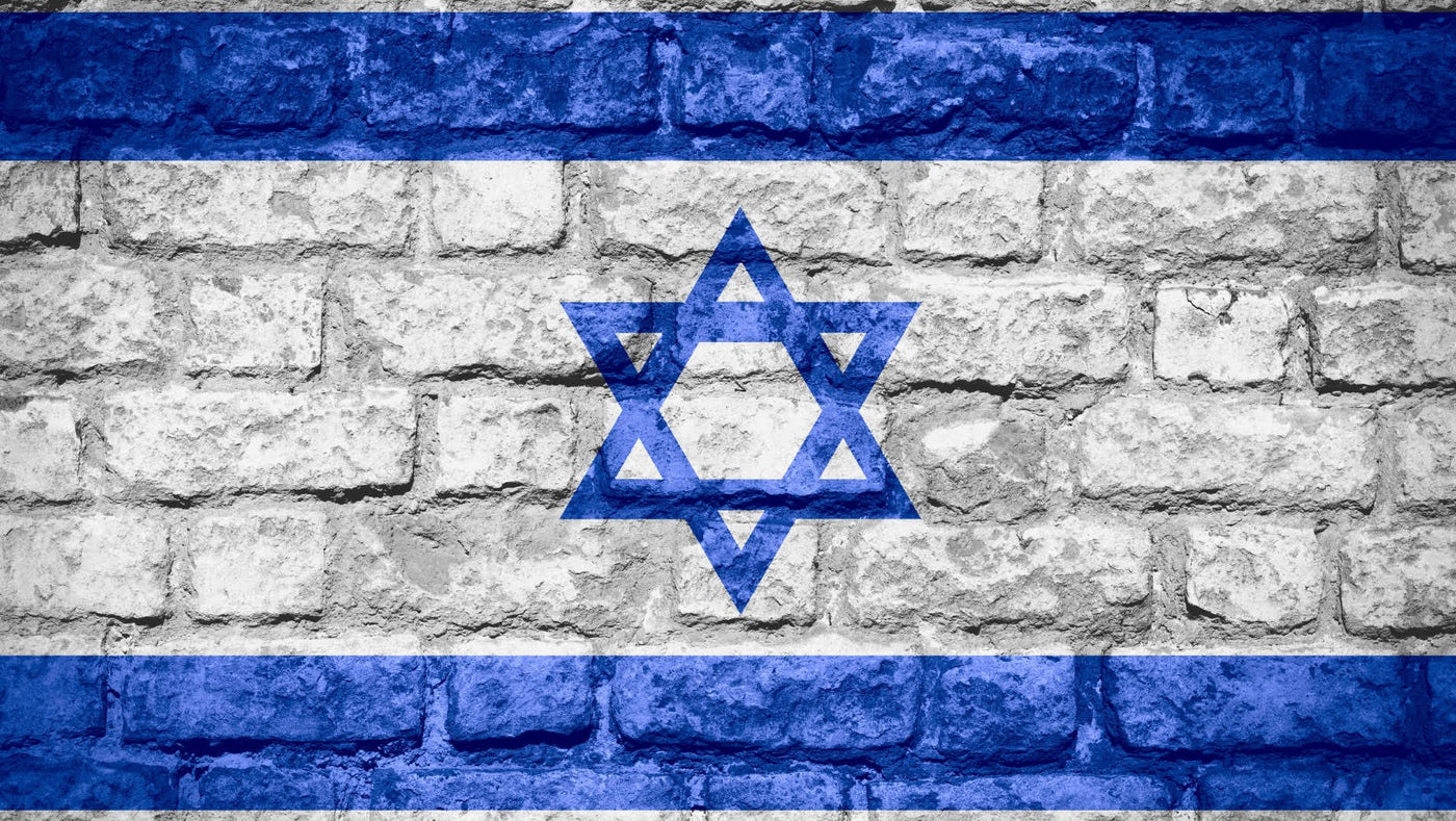 Israel Flag On Brick Wall Garage Door Cover