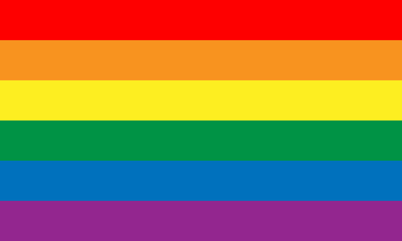 Rainbow Pride Flag Garage Door Cover
