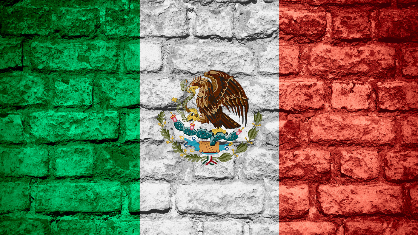 דגל מקסיקו על קיר לבנים כיסוי דלת מוסך