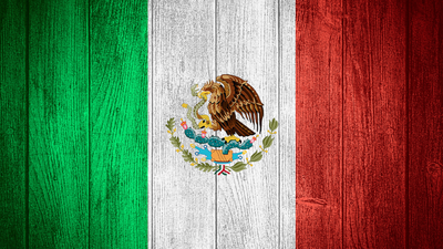 דגל מקסיקו על כיסוי דלת מוסך מעץ