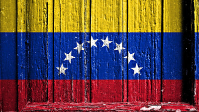 דגל ונצואלה על דלת עץ מכסה דלת מוסך